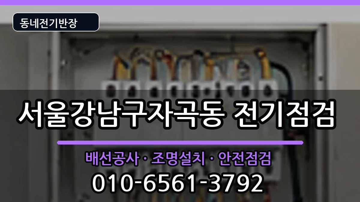 서울강남구자곡동  전기증설 정보형