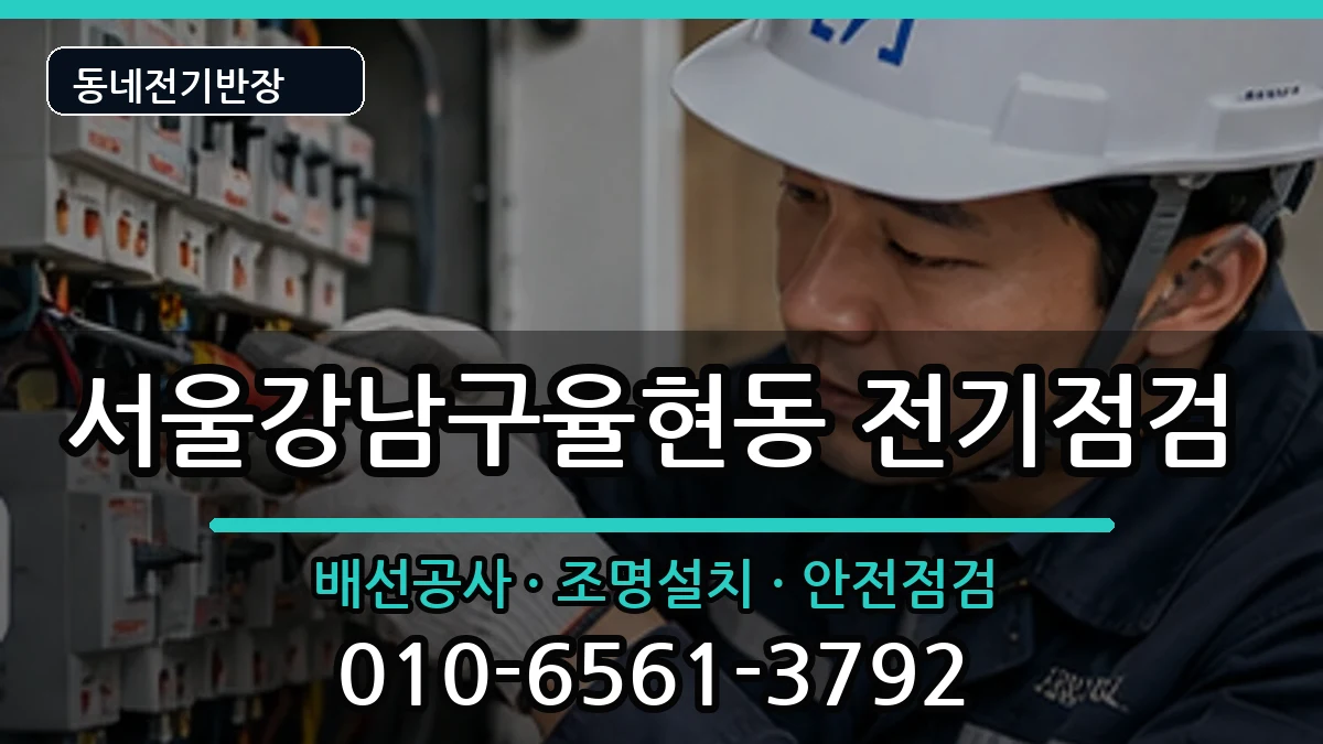 서울강남구율현동  전등설치 지역형