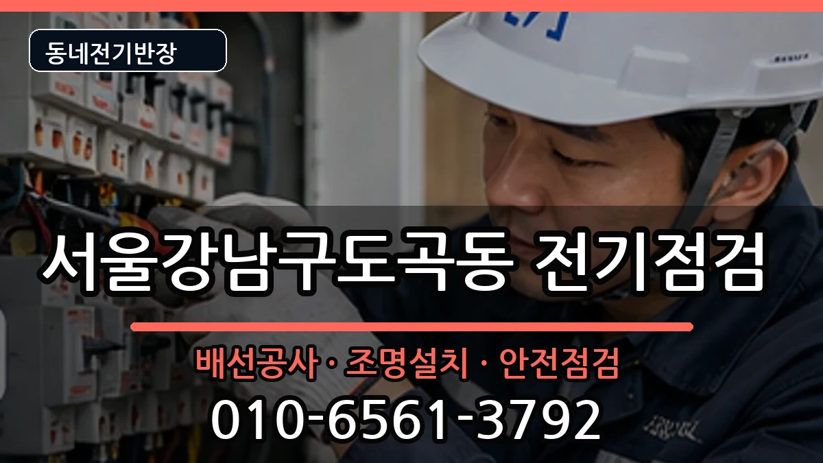 서울강남구도곡동  전등설치 지역형