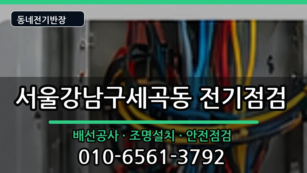 서울강남구세곡동 전등설치 서울강남구세곡동 전등설치 전기 작업 안내 이미지 3