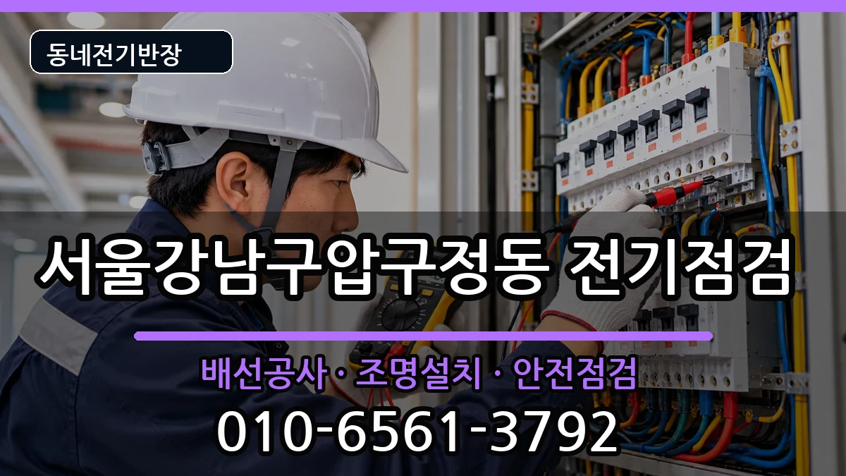 서울강남구압구정동 전등설치 서울강남구압구정동 전등설치 전기 작업 안내 이미지 1