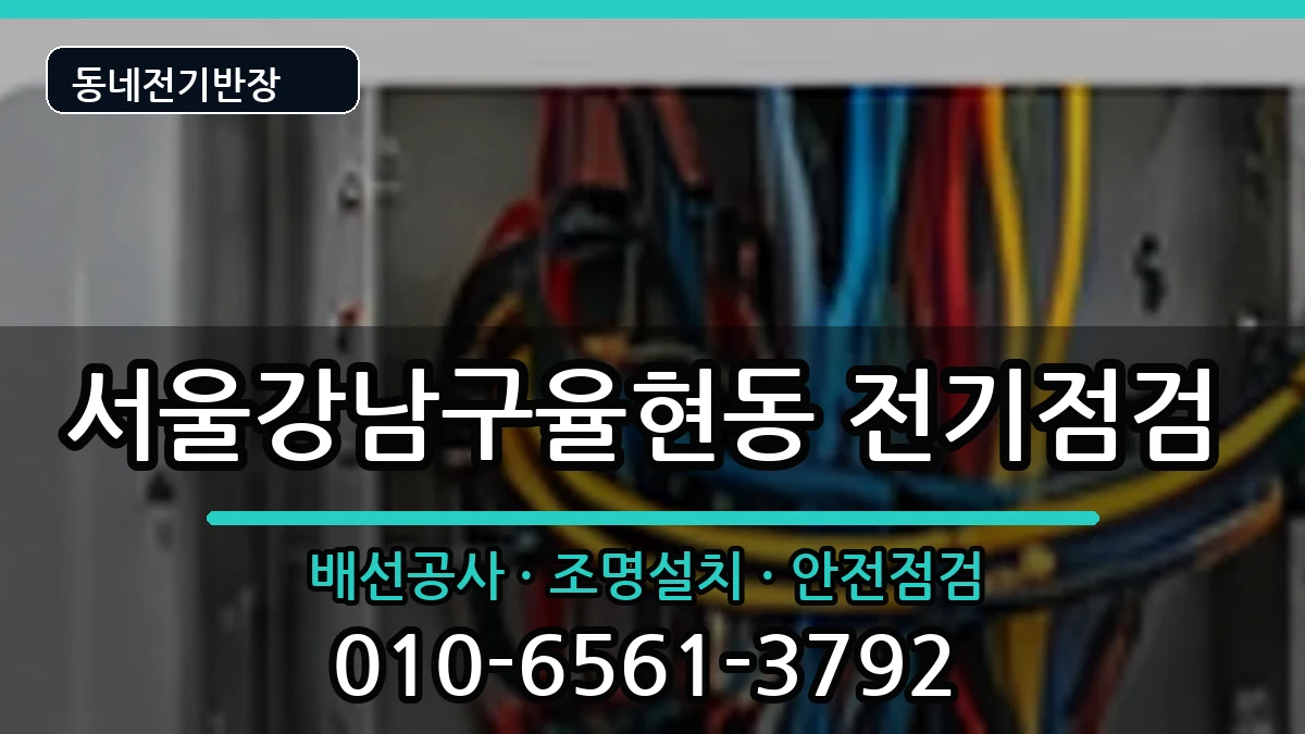 서울강남구율현동 전등설치 서울강남구율현동 전등설치 전기 작업 안내 이미지 3